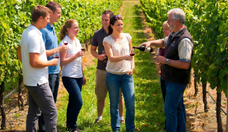 Professional chauffeur service for Yarra Valley winery tours
